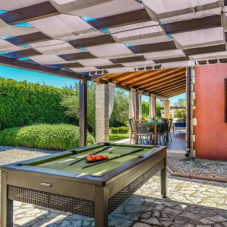 Olive Tree By Štokovci