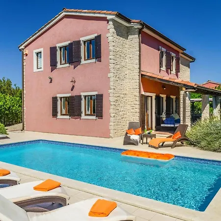 Olive Tree By * Štokovci