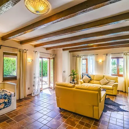 Olive Tree By Villa *