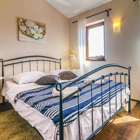 Olive Tree By Štokovci