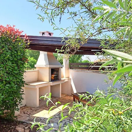 Olive Tree By Villa *