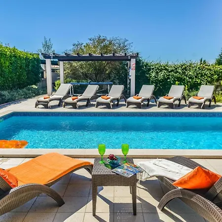 Olive Tree By * Štokovci