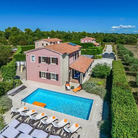 Olive Tree By Villa