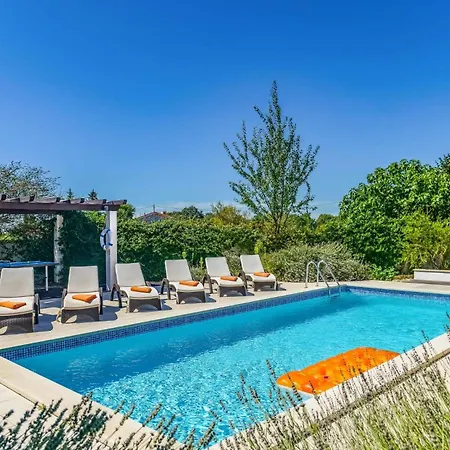 Villa Olive Tree By
