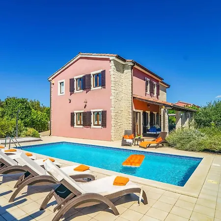 Olive Tree By Villa *